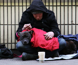 In diesem Bus sollen sich Obdachlose duschen können