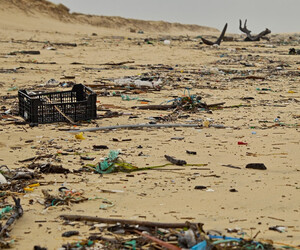 Erstaunliche Fundstücke aus 250 Kilo Strandmüll