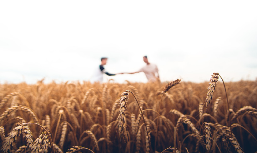 Solidarische Landwirtschaft 