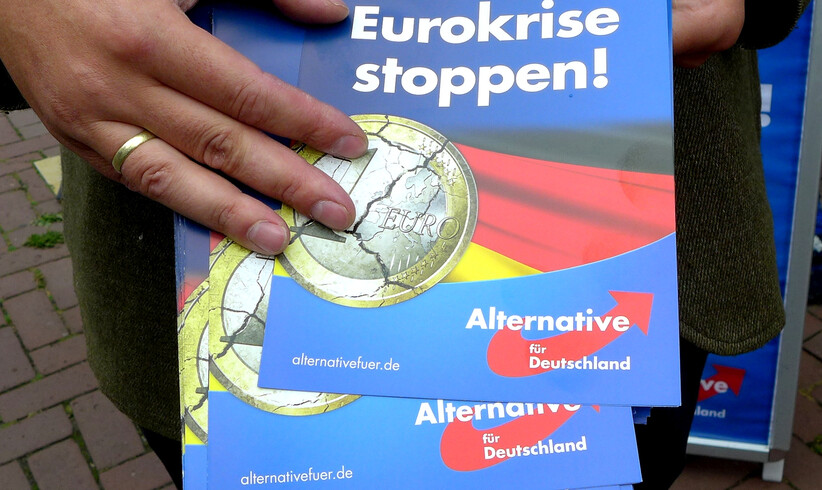 Radikal und skeptisch - Zehn Jahre AfD