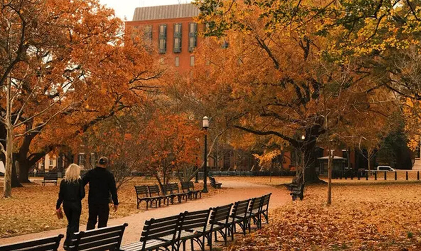 October Theory: Dein neues Mindset für den Herbst