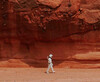 Die Mars Society