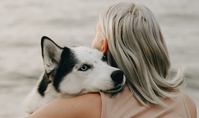 Wenn aus Hund und Mensch ein Therapieteam wird