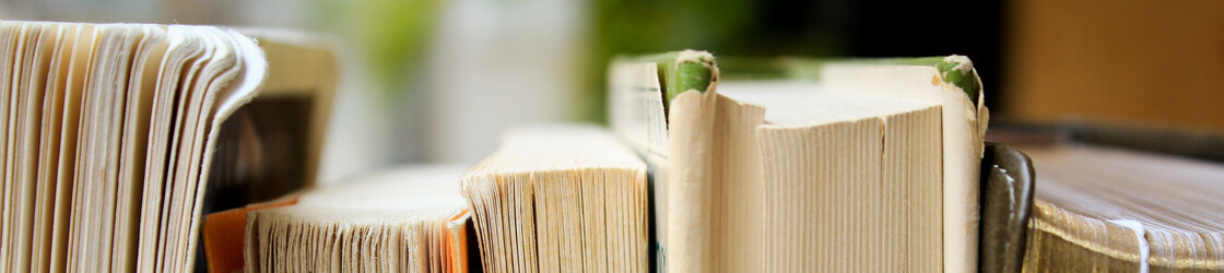 Weltliteratur in 30 Sek