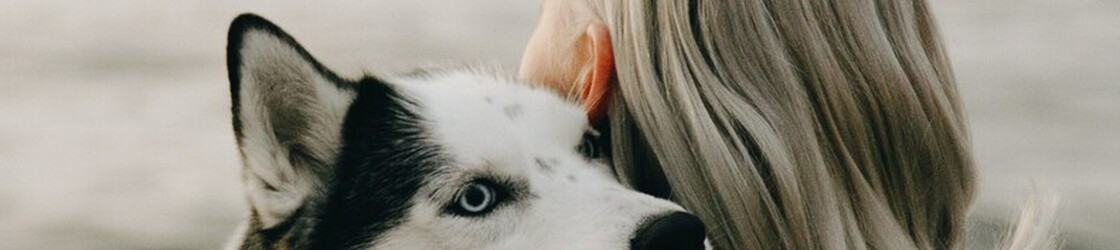 Warum wir Tiere manchmal mehr lieben als Menschen