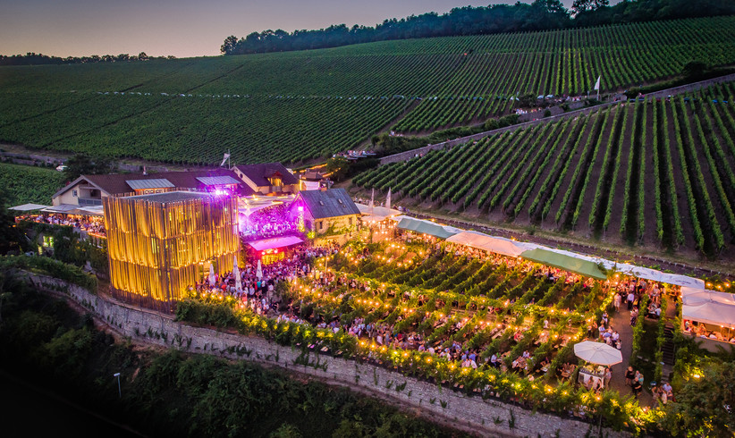 Wir senden live vom Wein am Stein 