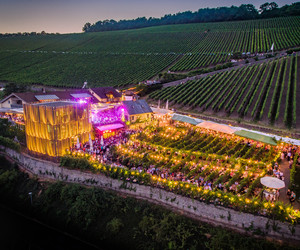 Wir senden live vom Wein am Stein 