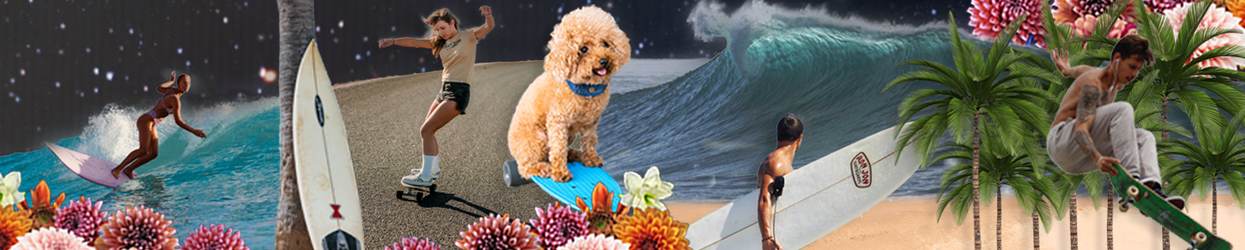 Skaten&Surfen